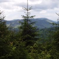 (72/105): Wycieczka turystyczna - 