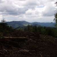 (83/105): Wycieczka turystyczna - 