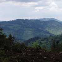 (84/105): Wycieczka turystyczna - 
