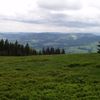 (93/105): Wycieczka turystyczna - 