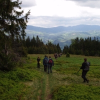 (94/105): Wycieczka turystyczna - 