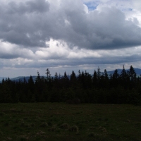 (95/105): Wycieczka turystyczna - 