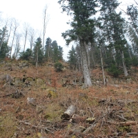 (14/86): Wycieczka na Pilsko 1557 m n.p.m. 06.04.2014r.
