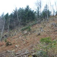 (15/86): Wycieczka na Pilsko 1557 m n.p.m. 06.04.2014r.
