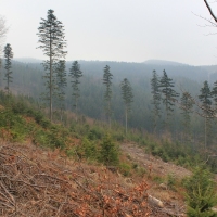(16/86): Wycieczka na Pilsko 1557 m n.p.m. 06.04.2014r.
