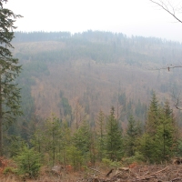 (18/86): Wycieczka na Pilsko 1557 m n.p.m. 06.04.2014r.
