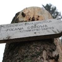 (20/86): Wycieczka na Pilsko 1557 m n.p.m. 06.04.2014r.

