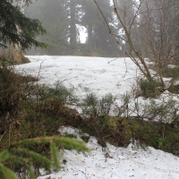 (26/86): Wycieczka na Pilsko 1557 m n.p.m. 06.04.2014r.
