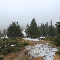 (40/86): Wycieczka na Pilsko 1557 m n.p.m. 06.04.2014r.
