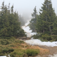 (41/86): Wycieczka na Pilsko 1557 m n.p.m. 06.04.2014r.
