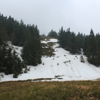 (47/86): Wycieczka na Pilsko 1557 m n.p.m. 06.04.2014r.
