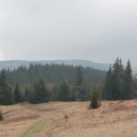 (76/86): Wycieczka na Pilsko 1557 m n.p.m. 06.04.2014r.
