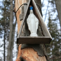 (78/86): Wycieczka na Pilsko 1557 m n.p.m. 06.04.2014r.
