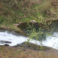 (83/86): Wycieczka na Pilsko 1557 m n.p.m. 06.04.2014r.
