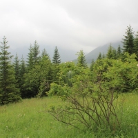 (7/203): Wycieczka na Velky Rozsutec 15.06.2014r.