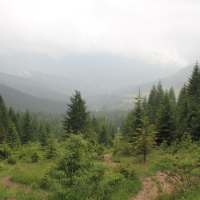 (11/203): Wycieczka na Velky Rozsutec 15.06.2014r.