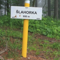 (13/203): Wycieczka na Velky Rozsutec 15.06.2014r.