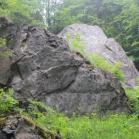 (16/203): Wycieczka na Velky Rozsutec 15.06.2014r.