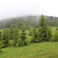 (19/203): Wycieczka na Velky Rozsutec 15.06.2014r.