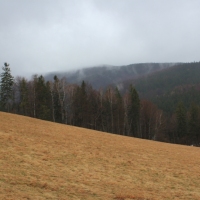 (9/79): Wycieczka na �ys� Hor� 1323 m n.p.m. - 16.03.2014r.