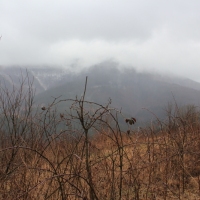 (10/79): Wycieczka na �ys� Hor� 1323 m n.p.m. - 16.03.2014r.