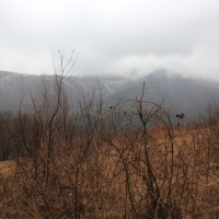 (11/79): Wycieczka na �ys� Hor� 1323 m n.p.m. - 16.03.2014r.