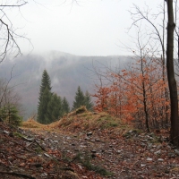 (12/79): Wycieczka na �ys� Hor� 1323 m n.p.m. - 16.03.2014r.