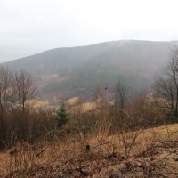 (14/79): Wycieczka na �ys� Hor� 1323 m n.p.m. - 16.03.2014r.