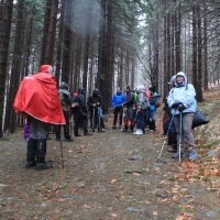 (15/79): Wycieczka na �ys� Hor� 1323 m n.p.m. - 16.03.2014r.