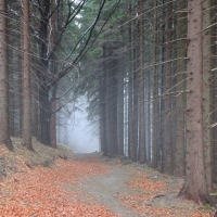 (17/79): Wycieczka na �ys� Hor� 1323 m n.p.m. - 16.03.2014r.