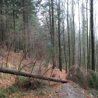 (18/79): Wycieczka na �ys� Hor� 1323 m n.p.m. - 16.03.2014r.