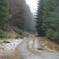 (20/79): Wycieczka na �ys� Hor� 1323 m n.p.m. - 16.03.2014r.
