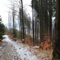 (21/79): Wycieczka na �ys� Hor� 1323 m n.p.m. - 16.03.2014r.