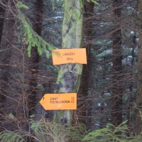 (25/79): Wycieczka na �ys� Hor� 1323 m n.p.m. - 16.03.2014r.