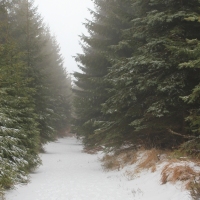 (26/79): Wycieczka na �ys� Hor� 1323 m n.p.m. - 16.03.2014r.