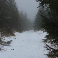 (28/79): Wycieczka na �ys� Hor� 1323 m n.p.m. - 16.03.2014r.