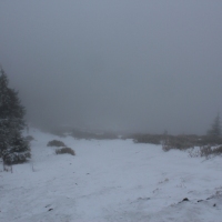 (33/79): Wycieczka na �ys� Hor� 1323 m n.p.m. - 16.03.2014r.