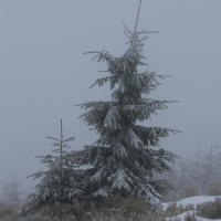 (34/79): Wycieczka na �ys� Hor� 1323 m n.p.m. - 16.03.2014r.
