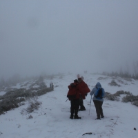 (35/79): Wycieczka na �ys� Hor� 1323 m n.p.m. - 16.03.2014r.