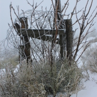 (37/79): Wycieczka na �ys� Hor� 1323 m n.p.m. - 16.03.2014r.