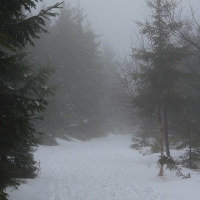 (55/79): Wycieczka na �ys� Hor� 1323 m n.p.m. - 16.03.2014r.