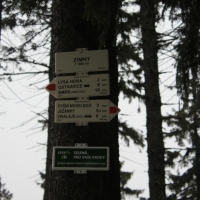 (56/79): Wycieczka na �ys� Hor� 1323 m n.p.m. - 16.03.2014r.