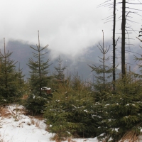 (57/79): Wycieczka na �ys� Hor� 1323 m n.p.m. - 16.03.2014r.