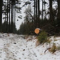 (58/79): Wycieczka na �ys� Hor� 1323 m n.p.m. - 16.03.2014r.