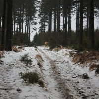 (59/79): Wycieczka na �ys� Hor� 1323 m n.p.m. - 16.03.2014r.