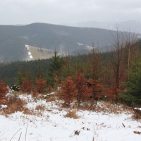 (61/79): Wycieczka na �ys� Hor� 1323 m n.p.m. - 16.03.2014r.