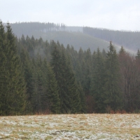 (69/79): Wycieczka na �ys� Hor� 1323 m n.p.m. - 16.03.2014r.