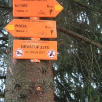 (73/79): Wycieczka na �ys� Hor� 1323 m n.p.m. - 16.03.2014r.