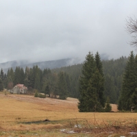 (75/79): Wycieczka na �ys� Hor� 1323 m n.p.m. - 16.03.2014r.