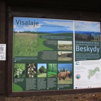 (77/79): Wycieczka na �ys� Hor� 1323 m n.p.m. - 16.03.2014r.